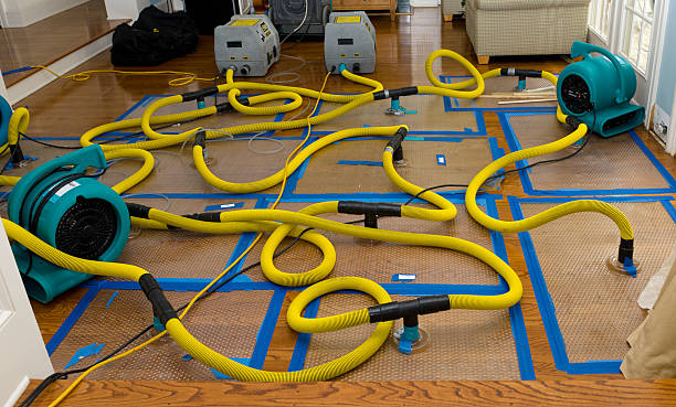 Professional Crawl Space Water Removal technician working in Voorheesville, NY
